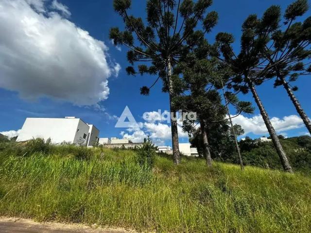 Terreno / Lote para Venda em Ponta Grossa/PR Estrela