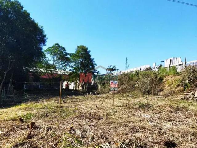 Terreno / Lote para Venda em Ponta Grossa/PR Estrela