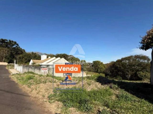 Terreno / Lote para Venda em Ponta Grossa/PR Estrela