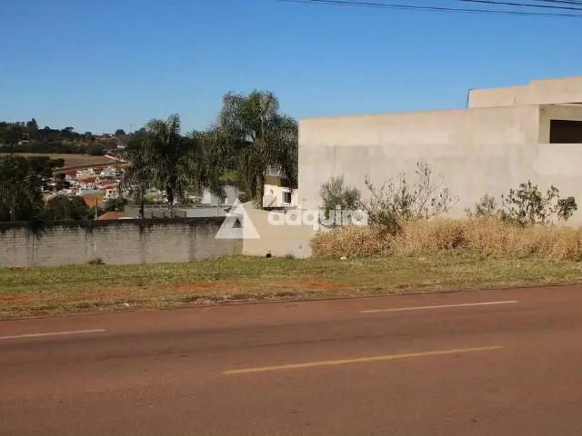 Terreno / Lote para Venda em Ponta Grossa/PR Estrela