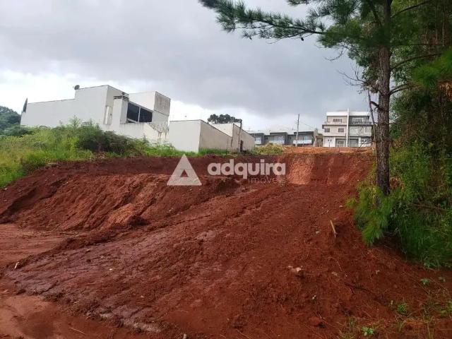 Terreno / Lote para Venda em Ponta Grossa/PR Estrela