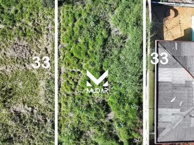 Terreno / Lote para Venda em Ponta Grossa/PR Estrela