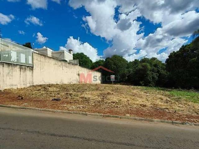 Terreno / Lote para Venda em Ponta Grossa/PR Estrela