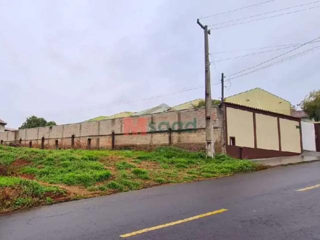 Terreno / Lote para Venda em Ponta Grossa/PR Estrela