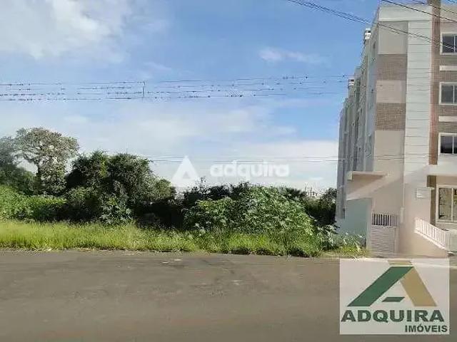 Terreno / Lote para Venda em Ponta Grossa/PR Estrela