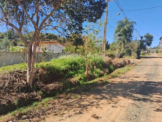 Terreno / Lote para Venda em Ponta Grossa/PR Guaragi 1 Quartos