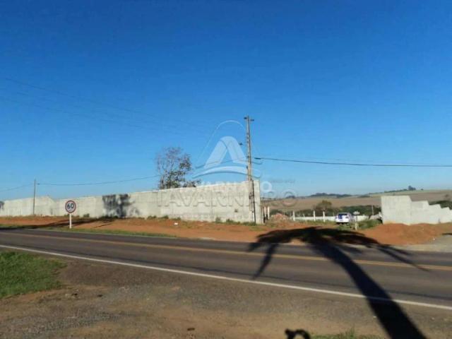 Terreno / Lote para Venda em Ponta Grossa/PR Jardim Carvalho