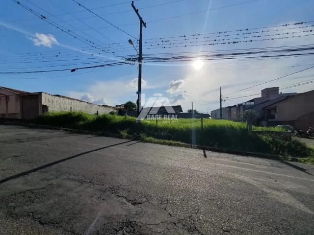 Terreno / Lote para Venda em Ponta Grossa/PR Jardim Carvalho