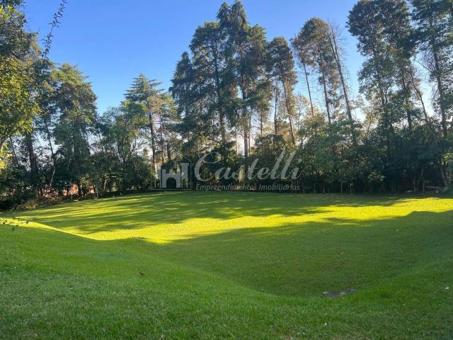 Terreno / Lote para Venda em Ponta Grossa/PR Jardim Carvalho