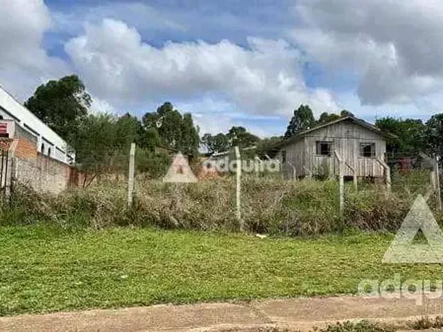 Terreno / Lote para Venda em Ponta Grossa/PR Jardim Carvalho