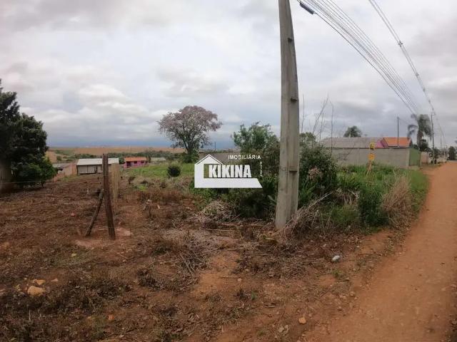 Terreno / Lote para Venda em Ponta Grossa/PR Jardim Carvalho
