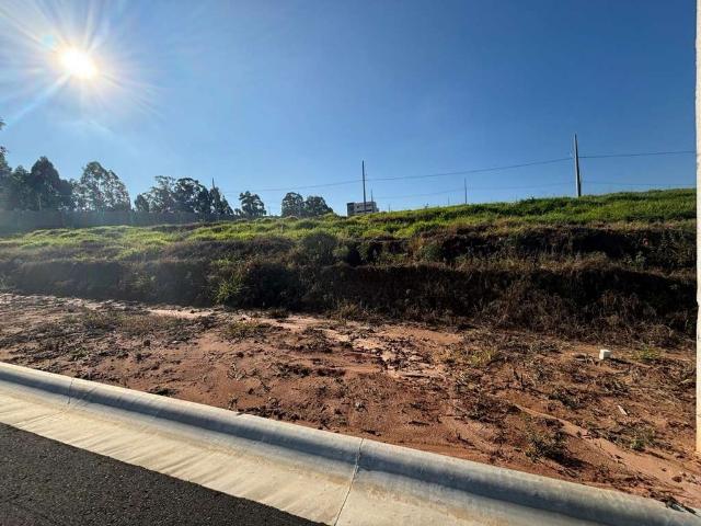 Terreno / Lote para Venda em Ponta Grossa/PR Jardim Carvalho