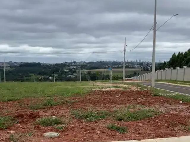 Terreno / Lote para Venda em Ponta Grossa/PR Jardim Carvalho