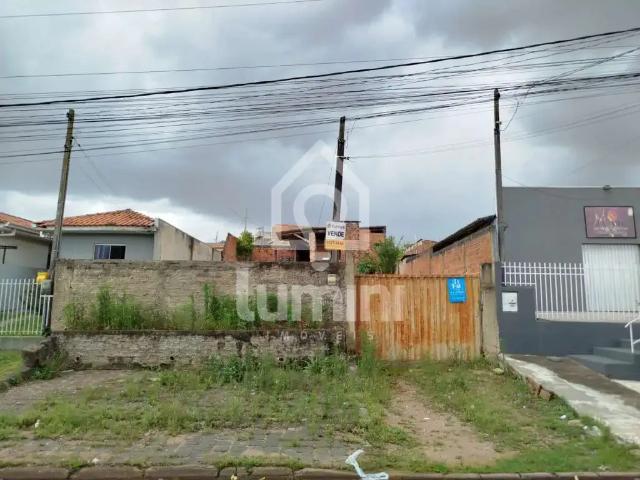 Terreno / Lote para Venda em Ponta Grossa/PR Jardim Carvalho