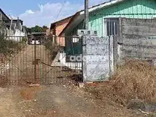 Terreno / Lote para Venda em Ponta Grossa/PR Nova Rússia