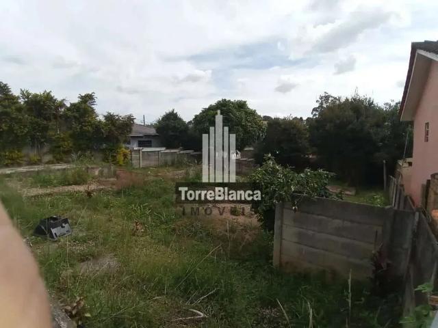 Terreno / Lote para Venda em Ponta Grossa/PR Nova Rússia