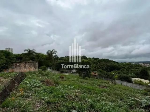 Terreno / Lote para Venda em Ponta Grossa/PR Nova Rússia