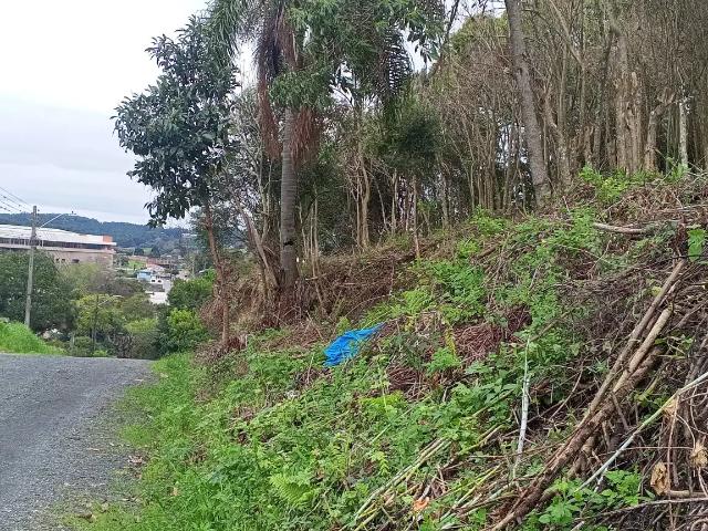 Terreno / Lote para Venda em Ponta Grossa/PR Nova Rússia