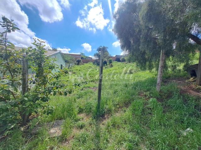 Terreno / Lote para Venda em Ponta Grossa/PR Nova Rússia