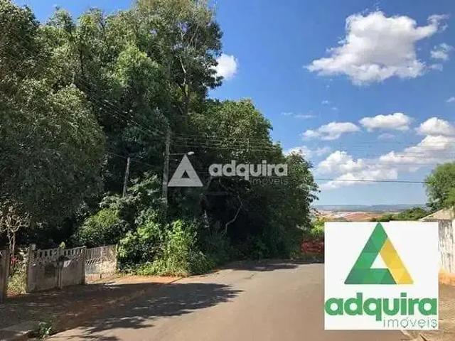 Terreno / Lote para Venda em Ponta Grossa/PR Oficinas