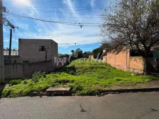Terreno / Lote para Venda em Ponta Grossa/PR Olarias
