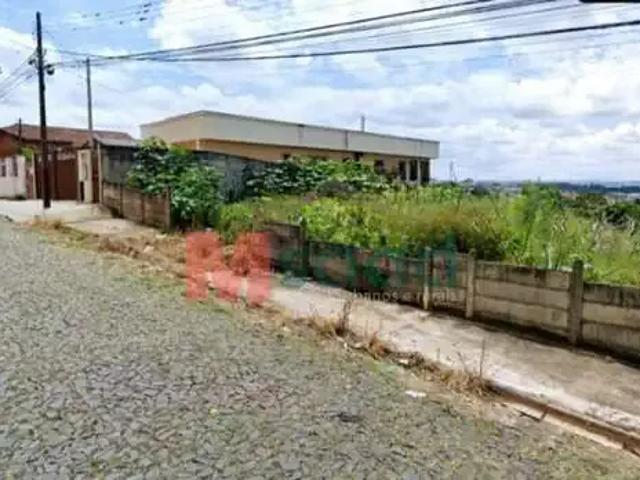 Terreno / Lote para Venda em Ponta Grossa/PR Olarias