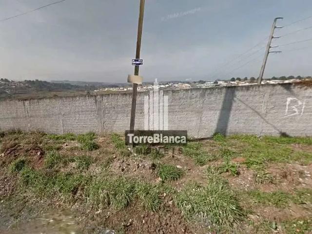 Terreno / Lote para Venda em Ponta Grossa/PR Olarias