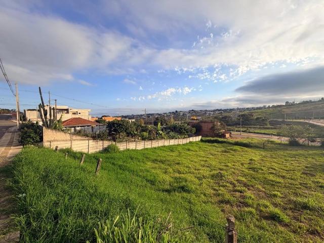 Terreno / Lote para Venda em Ponta Grossa/PR Olarias