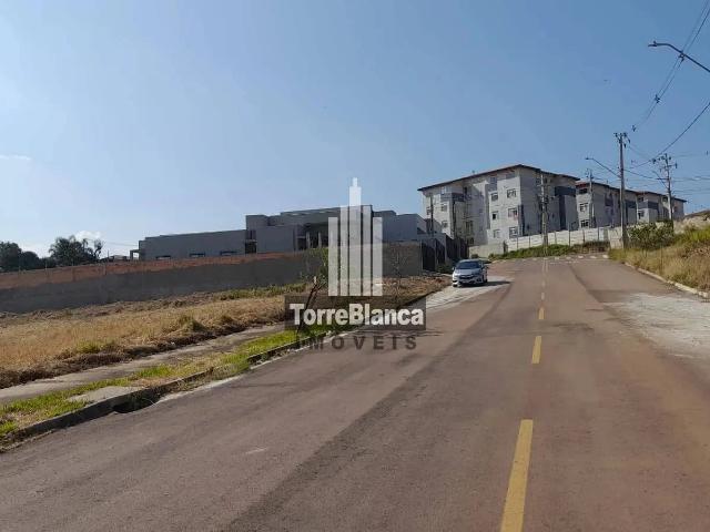 Terreno / Lote para Venda em Ponta Grossa/PR Olarias