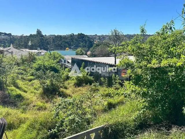 Terreno / Lote para Venda em Ponta Grossa/PR Orfãs