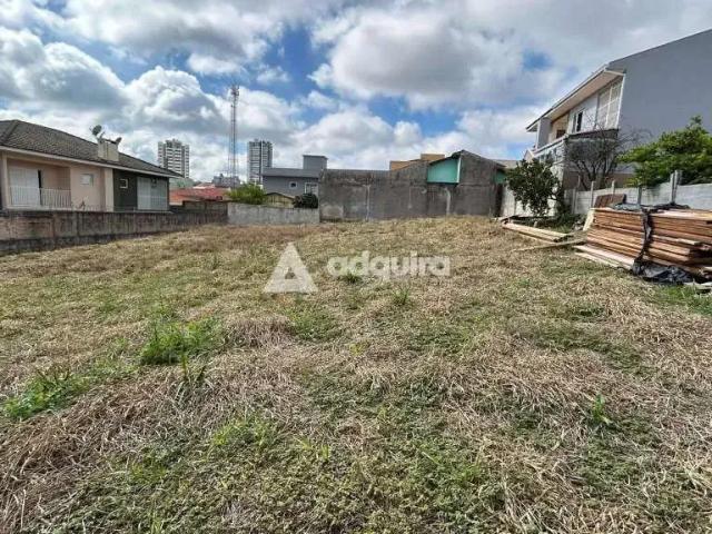 Terreno / Lote para Venda em Ponta Grossa/PR Orfãs