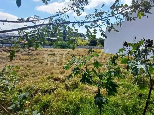 Terreno / Lote para Venda em Ponta Grossa/PR Orfãs