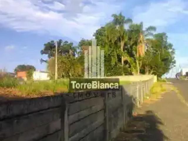 Terreno / Lote para Venda em Ponta Grossa/PR Orfãs