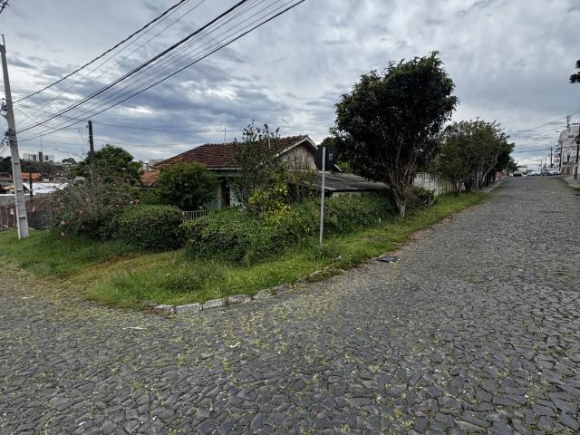 Terreno / Lote para Venda em Ponta Grossa/PR Orfãs