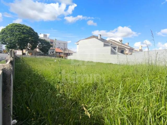 Terreno / Lote para Venda em Ponta Grossa/PR Orfãs