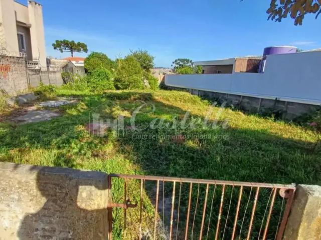 Terreno / Lote para Venda em Ponta Grossa/PR Orfãs