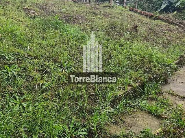 Terreno / Lote para Venda em Ponta Grossa/PR Ronda