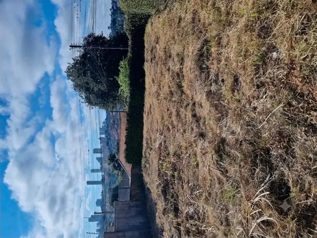 Terreno / Lote para Venda em Ponta Grossa/PR Ronda