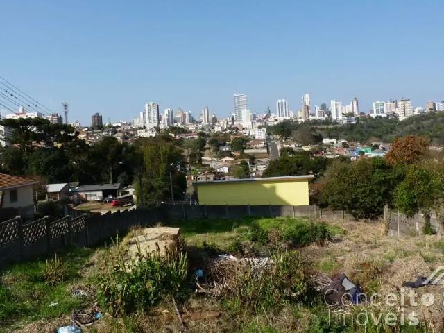 Terreno / Lote para Venda em Ponta Grossa/PR Ronda