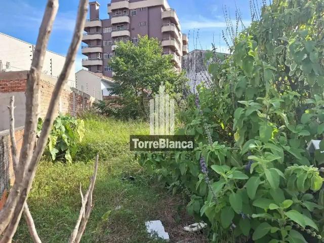 Terreno / Lote para Venda em Ponta Grossa/PR Ronda