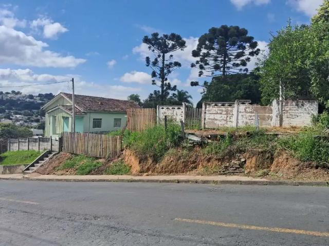 Terreno / Lote para Venda em Ponta Grossa/PR Ronda