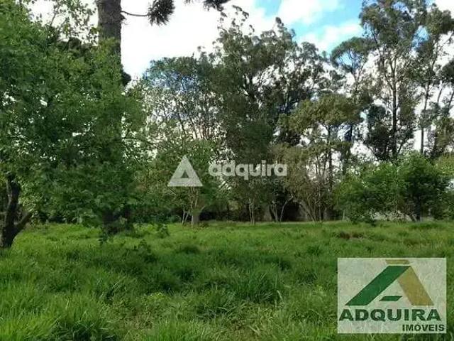 Terreno / Lote para Venda em Ponta Grossa/PR Ronda