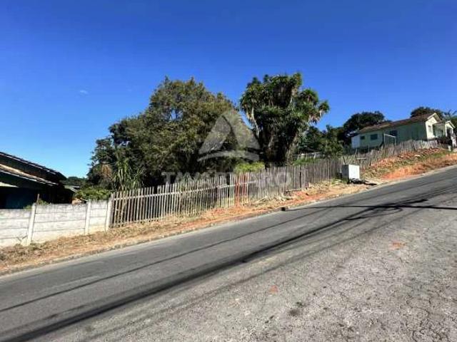 Terreno / Lote para Venda em Ponta Grossa/PR Ronda