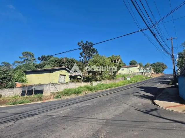 Terreno / Lote para Venda em Ponta Grossa/PR Ronda