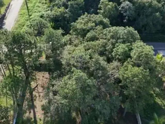 Terreno / Lote para Venda em Pontal do Paraná/PR Atami