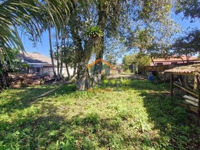 Terreno / Lote para Venda em Pontal do Paraná/PR Grajaú