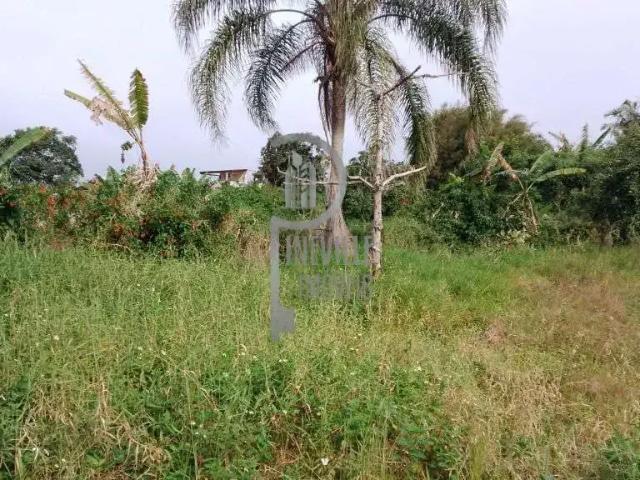 Terreno / Lote para Venda em Pontal do Paraná/PR Ipanema