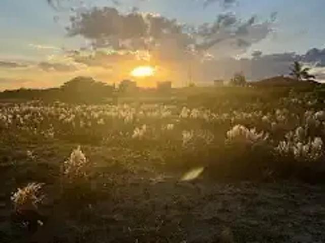 Terreno / Lote para Venda em Pontal do Paraná/PR Ipanema