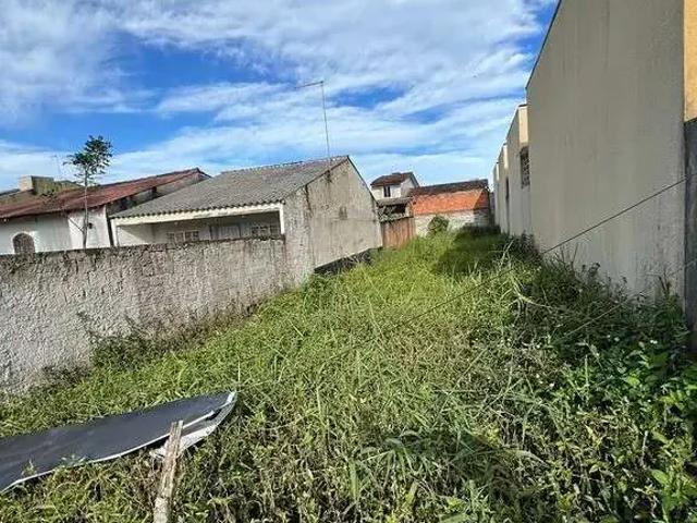 Terreno / Lote para Venda em Pontal do Paraná/PR Santa Terezinha
