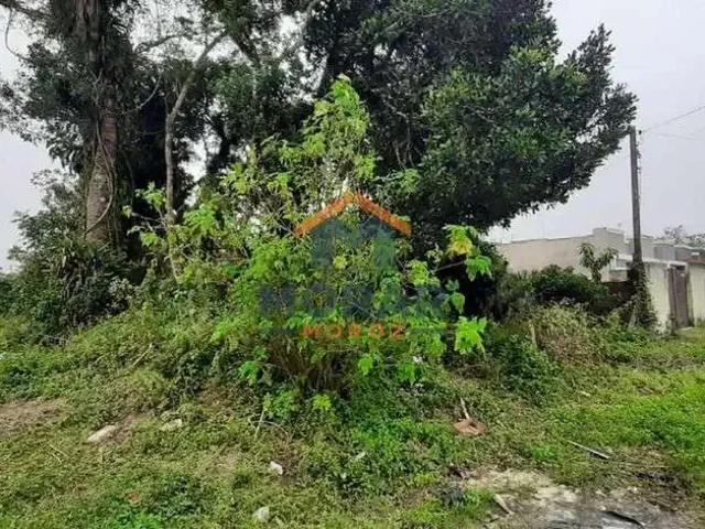 Terreno / Lote para Venda em Pontal do Paraná/PR Shangri lá